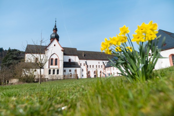Kultur, Wein, Genuss Frühlingserwachen im Kloster